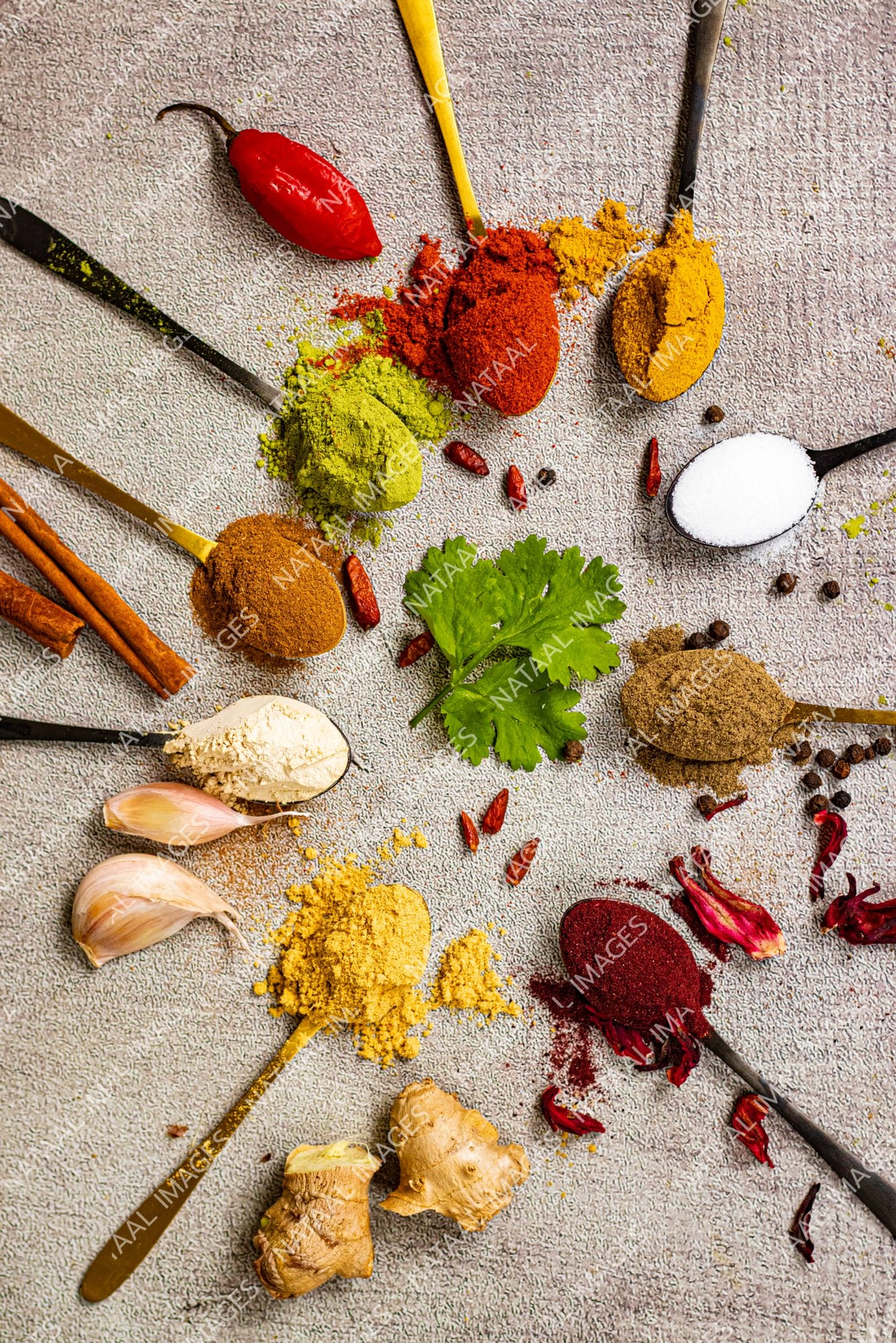 cuilleres en cercle de poudre de gingembre paprika cannelle moringa sel piment curcuma et moringa