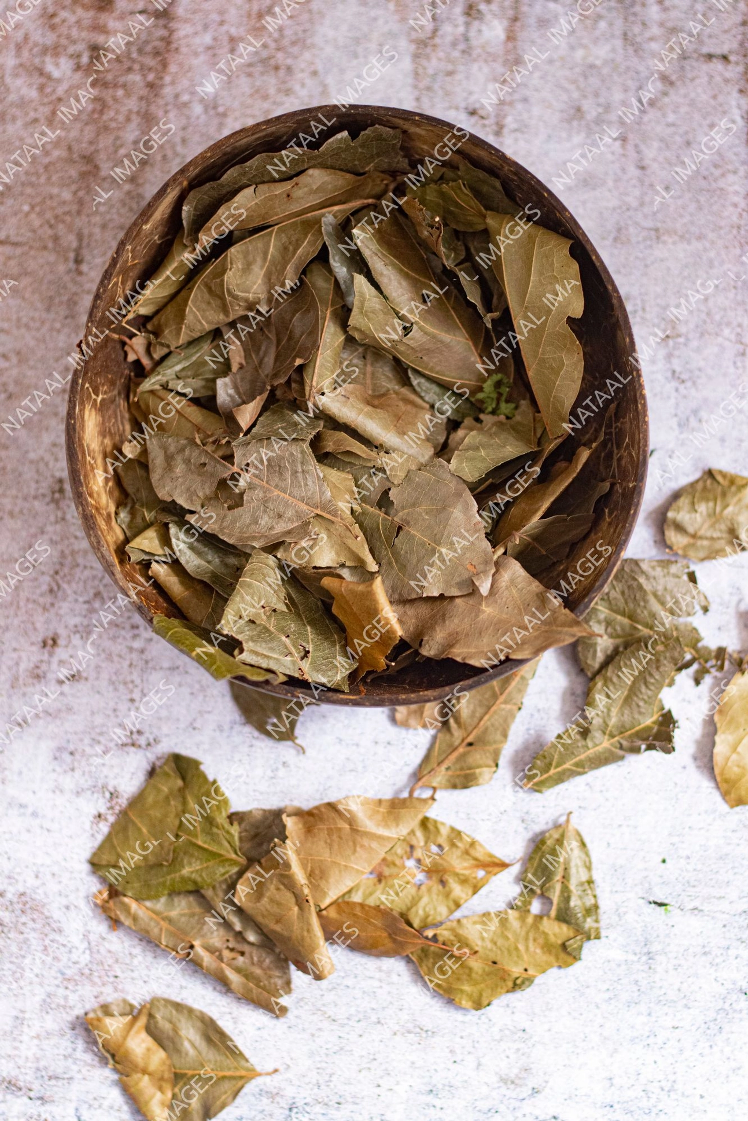 feuilles de kinkeliba dans un bols en bois avec feuilles de kinkeliba sur le cote