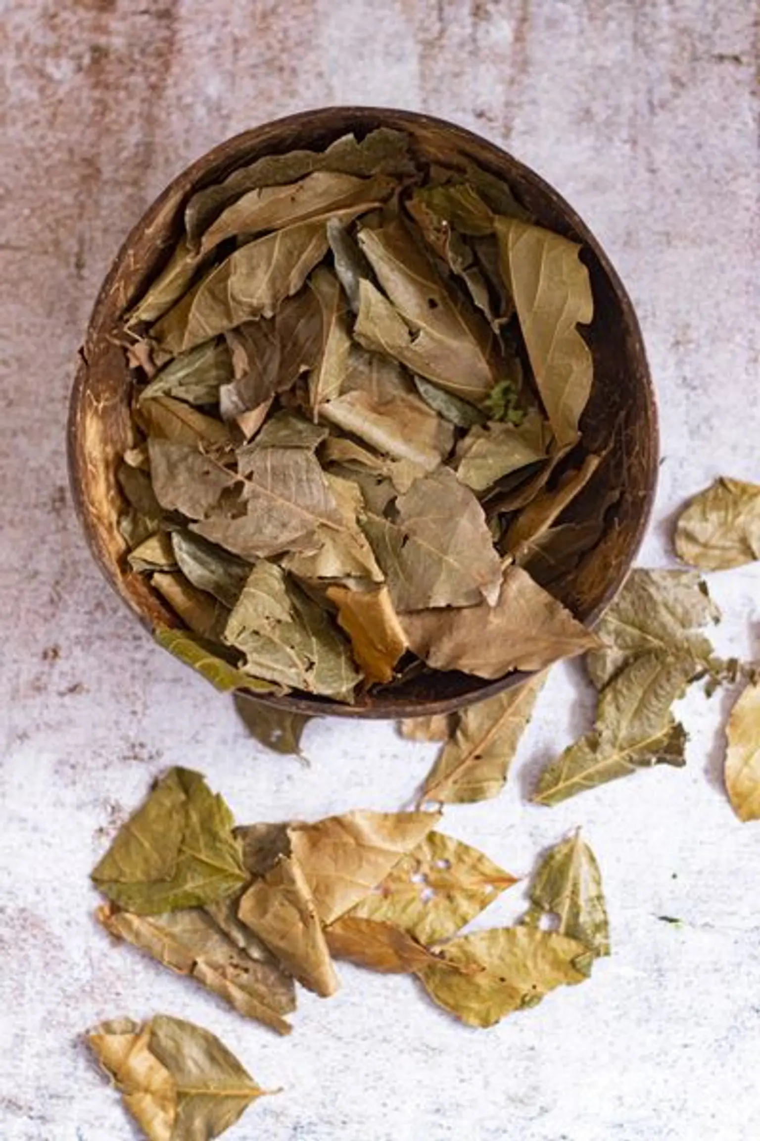 feuilles de kinkeliba dans un bols en bois avec feuilles de kinkeliba sur le cote