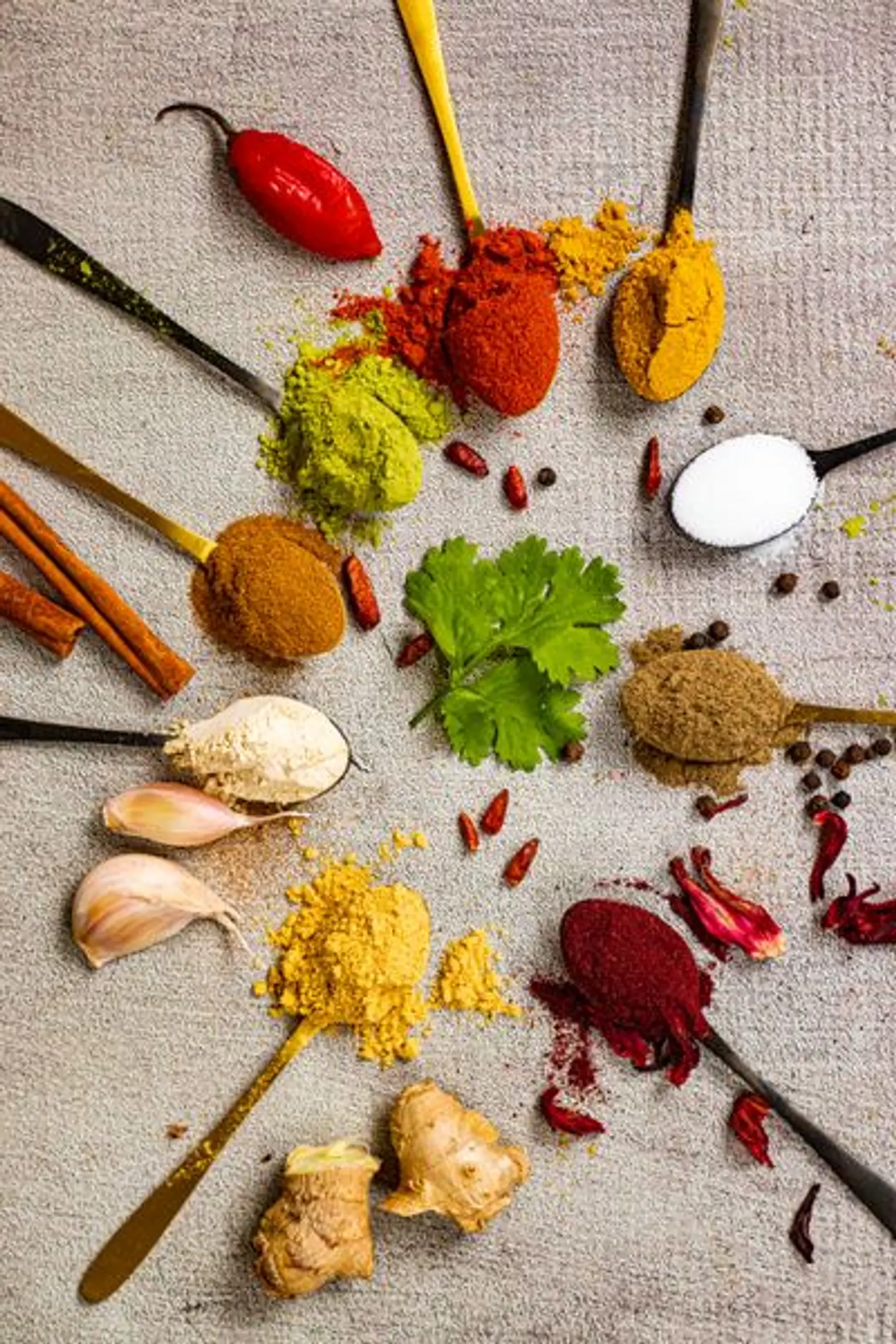 cuilleres en cercle de poudre de gingembre paprika cannelle moringa sel piment curcuma et moringa